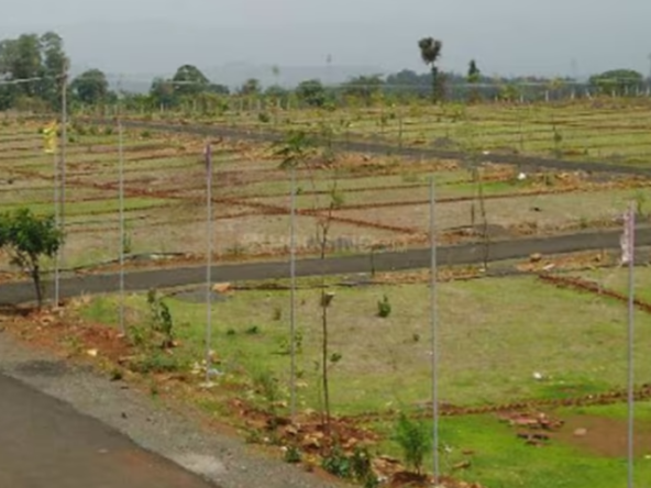 Amulya Green Valley