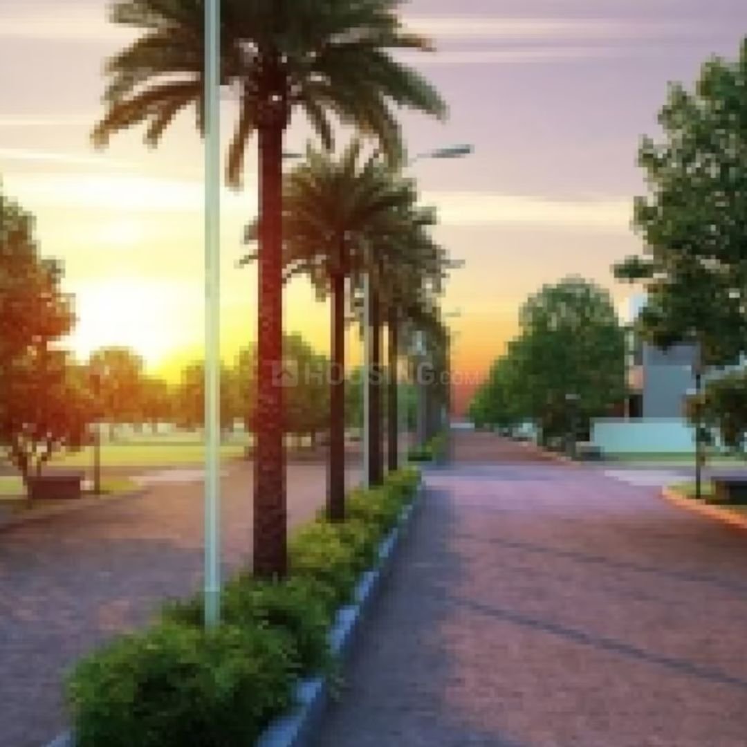 TMR Urban Meadows