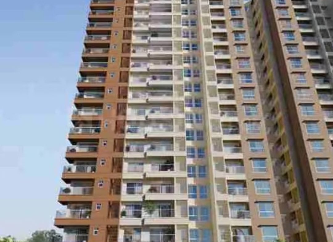 Prestige Evergreen