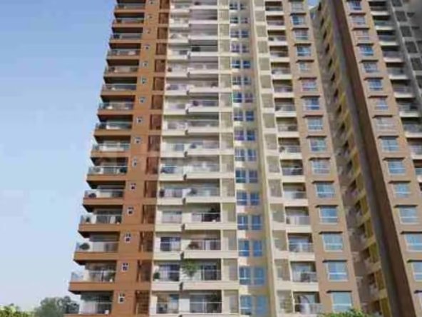 Prestige Evergreen