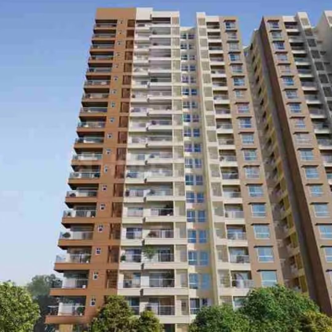 Prestige Evergreen