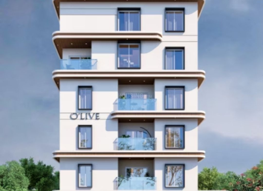 Onecent Olive