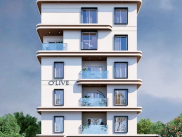Onecent Olive