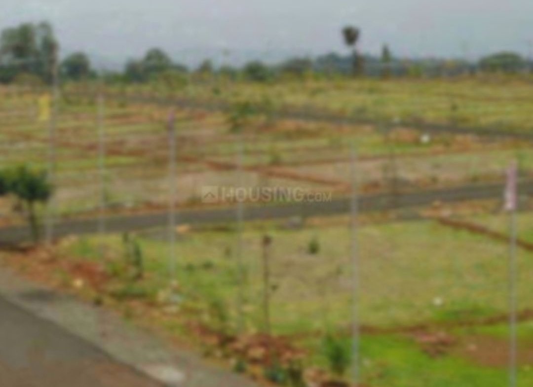 Meghana Hill County