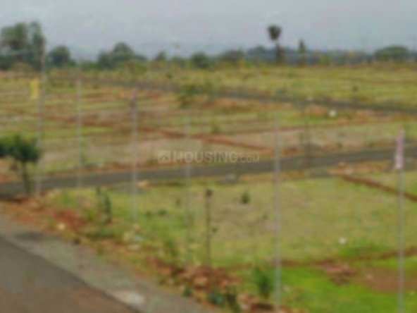 Meghana Hill County