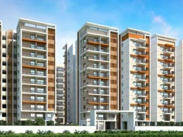 Pavani Starlit